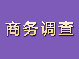 新市商务调查